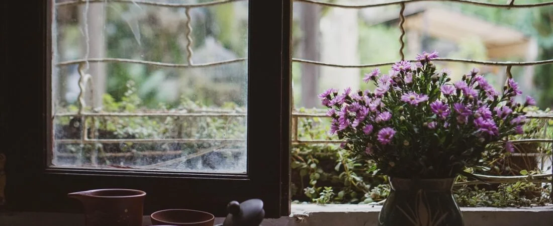 How to Use Milk Thistle at Home