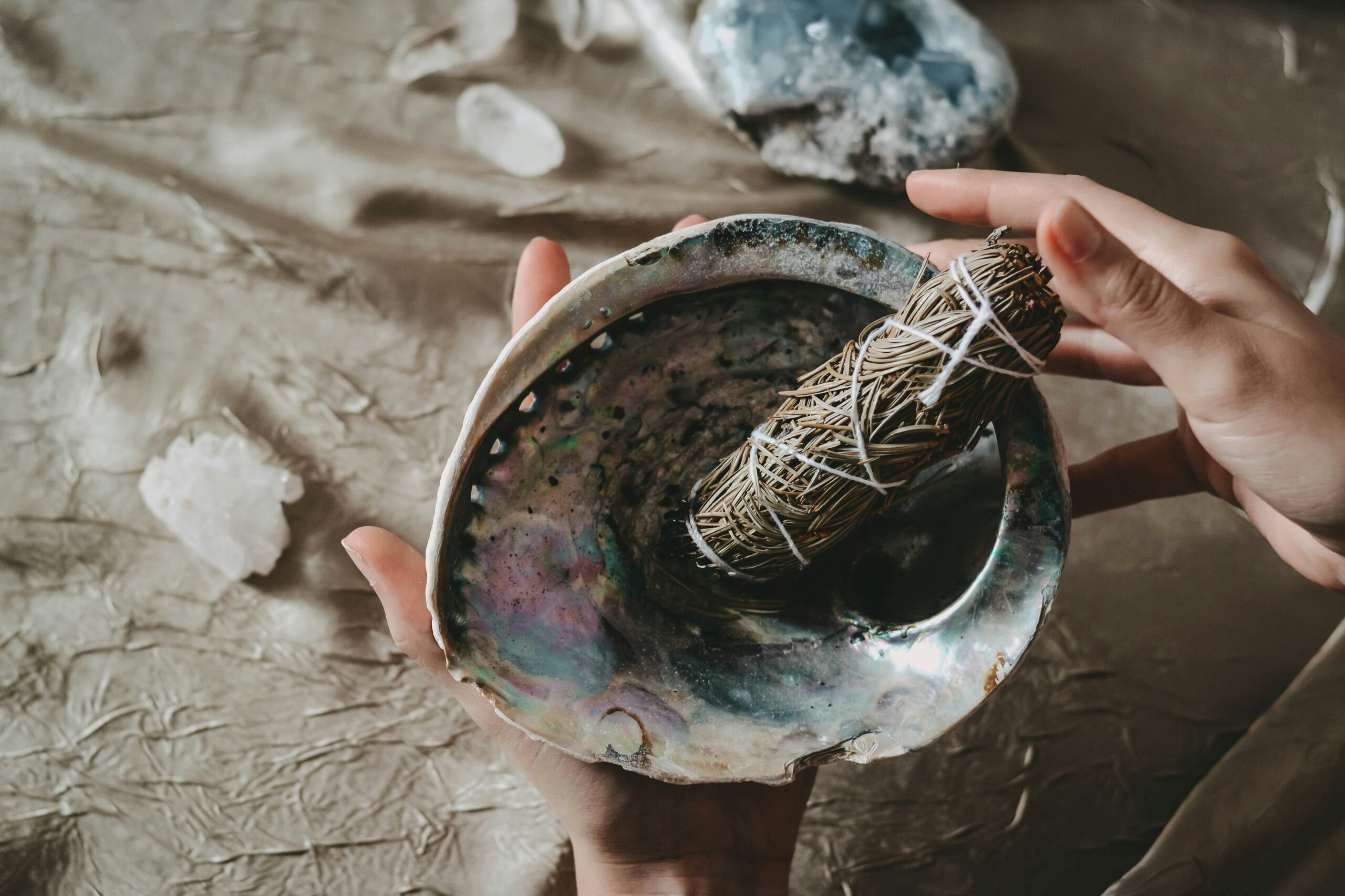 How to Prepare and Use Mugwort